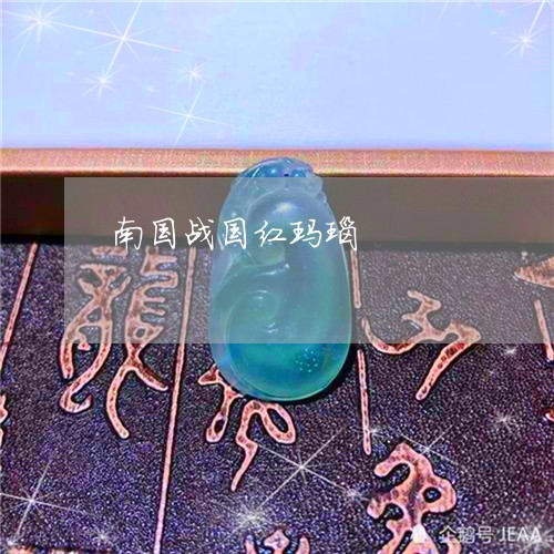 南国战国红玛瑙/2023040495026