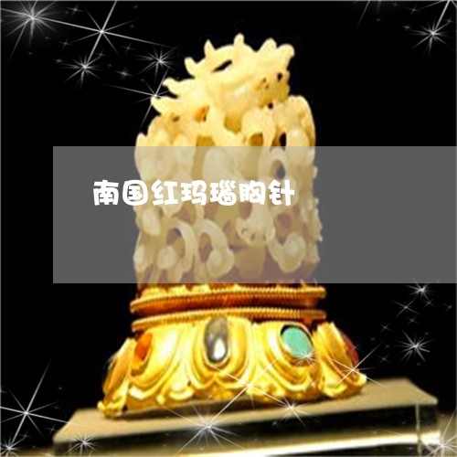 南国红玛瑙胸针/2023040418380