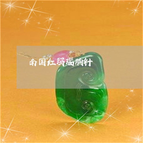 南国红玛瑙胸针/2023040491615