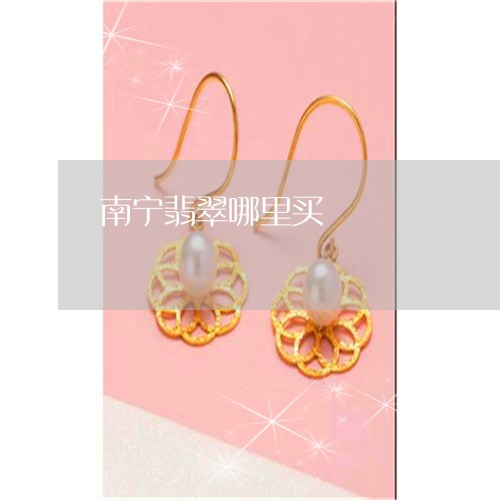 南宁翡翠哪里买/2023040462593 南宁翡翠哪里买/2023040462593