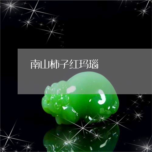 南山柿子红玛瑙/2023040440150 南山柿子红玛瑙/2023040440150