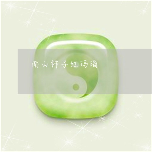 南山柿子红玛瑙/2023040472503 南山柿子红玛瑙/2023040472503