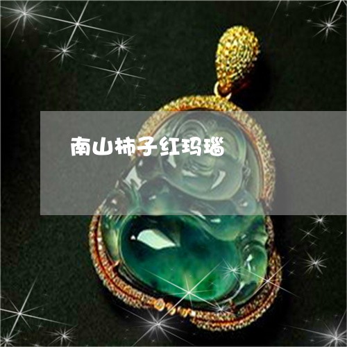 南山柿子红玛瑙/2023040476169 南山柿子红玛瑙/2023040476169