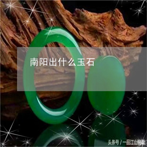 南阳出什么玉石/2023040459572