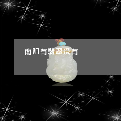南阳有翡翠没有/2023040465340 南阳有翡翠没有/2023040465340