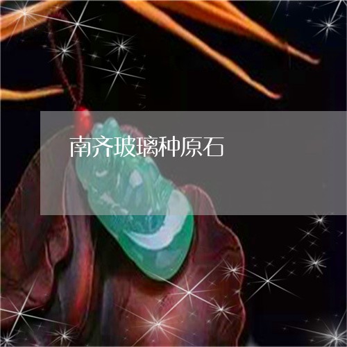 南齐玻璃种原石/2023040473604 南齐玻璃种原石/2023040473604