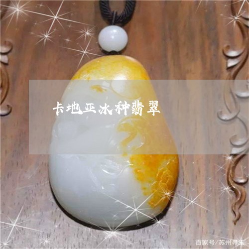 卡地亚冰种翡翠/2023040484804 卡地亚冰种翡翠/2023040484804