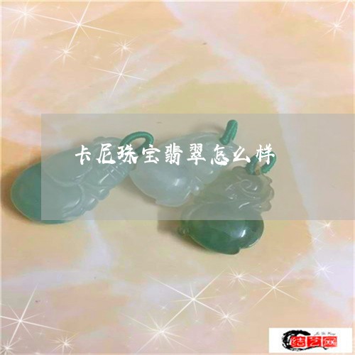 卡尼珠宝翡翠怎么样/2023042228269