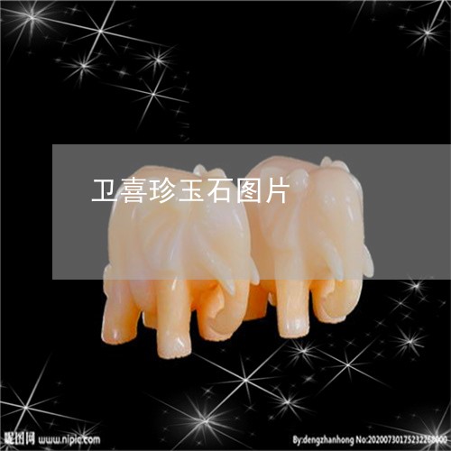卫喜珍玉石图片/2023040461683 卫喜珍玉石图片/2023040461683
