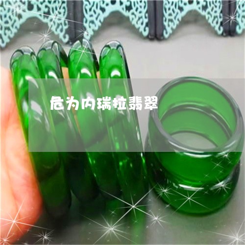 危为内瑞拉翡翠/2023040442813 危为内瑞拉翡翠/2023040442813