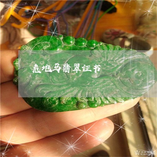 危地马翡翠证书/2023040440570