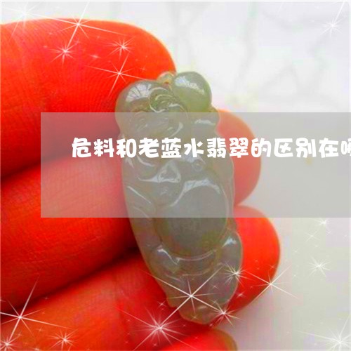 危料和老蓝水翡翠的区别在哪/2023071207359