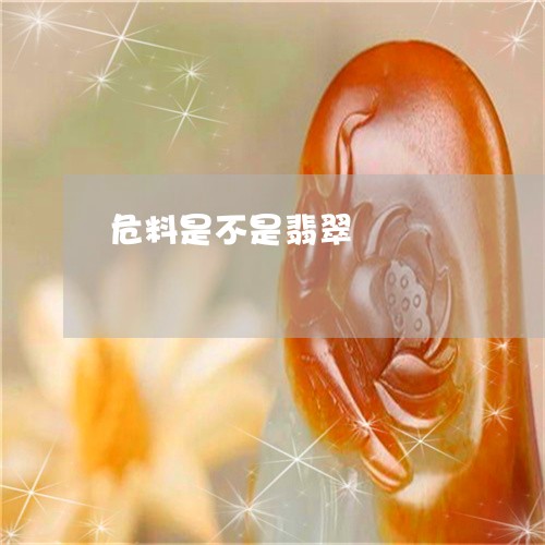 危料是不是翡翠/2023040465036 危料是不是翡翠/2023040465036