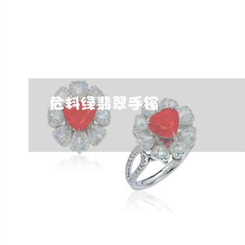 危料绿翡翠手镯/2023040428461 危料绿翡翠手镯/2023040428461