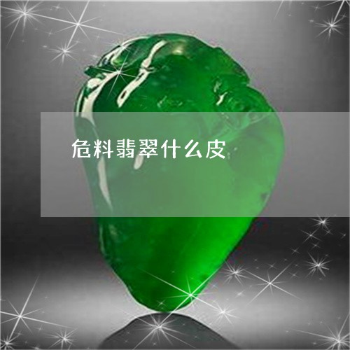 危料翡翠什么皮/2023040495038 危料翡翠什么皮/2023040495038