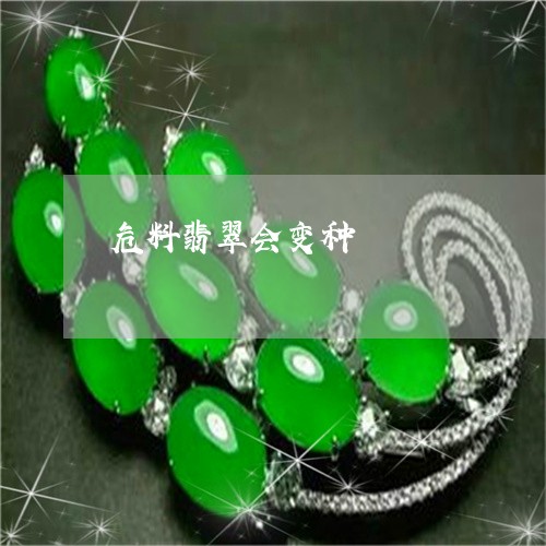 危料翡翠会变种/2023040441486 危料翡翠会变种/2023040441486