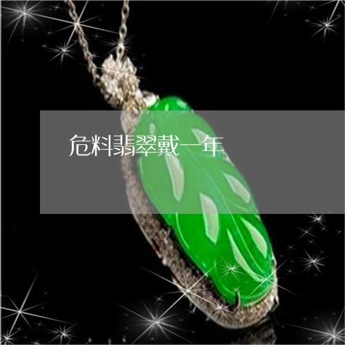 危料翡翠戴一年/2023040418149