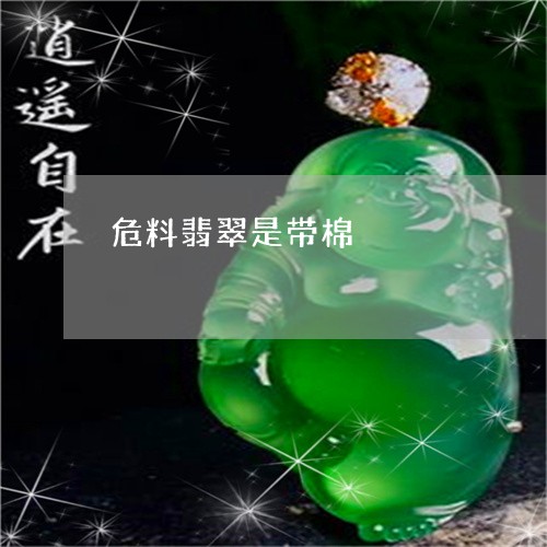 危料翡翠是带棉/2023040403837