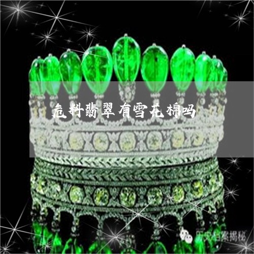 危料翡翠有雪花棉吗/2023042226257