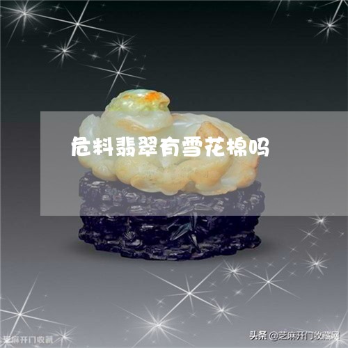 危料翡翠有雪花棉吗/2023042293716