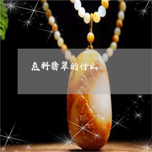危料翡翠的什么/2023040448261