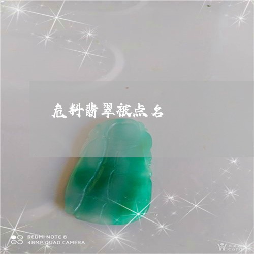 危料翡翠被点名/2023040484036