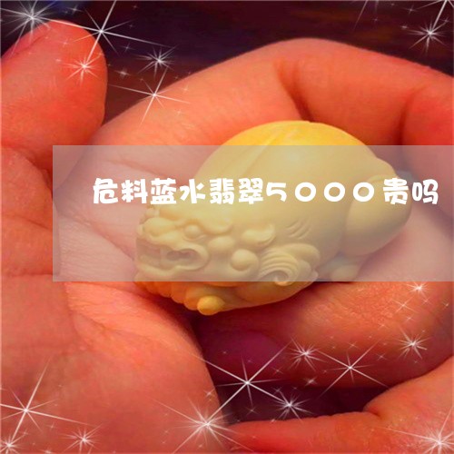 危料蓝水翡翠5000贵吗/2023071161394