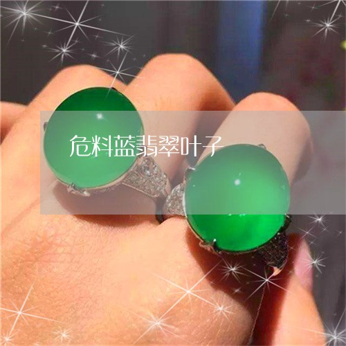 危料蓝翡翠叶子/2023040454826 危料蓝翡翠叶子/2023040454826