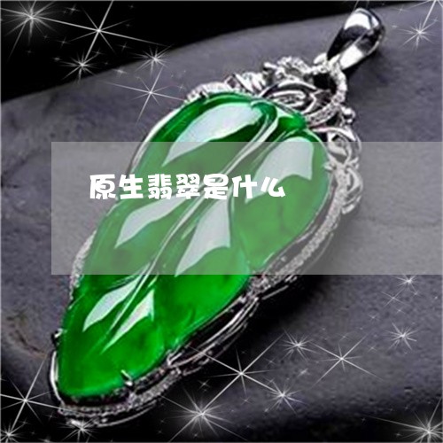 原生翡翠是什么/2023040428481