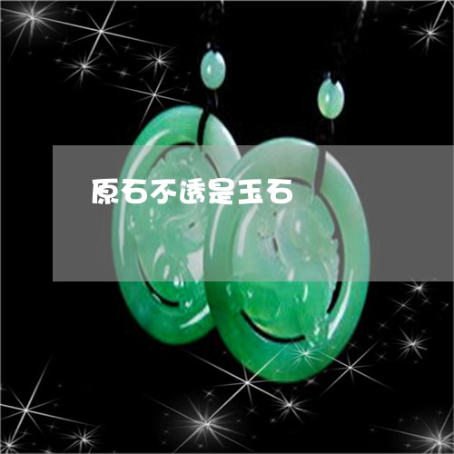原石不透是玉石/2023040406237