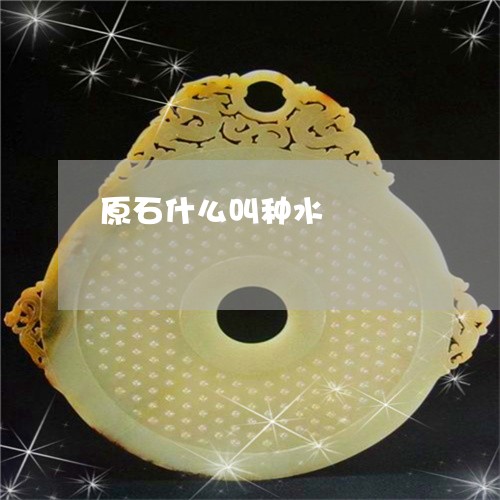 原石什么叫种水/2023040440380 原石什么叫种水/2023040440380