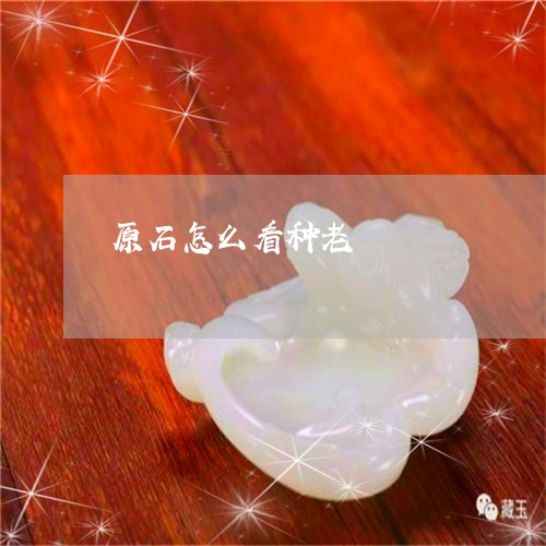 原石怎么看种老/2023040415026