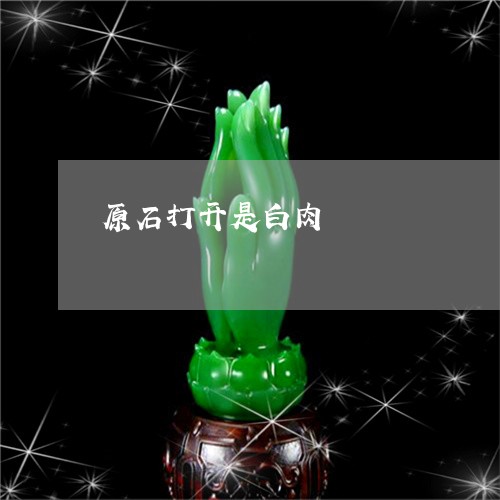 原石打开是白肉/2023040420706