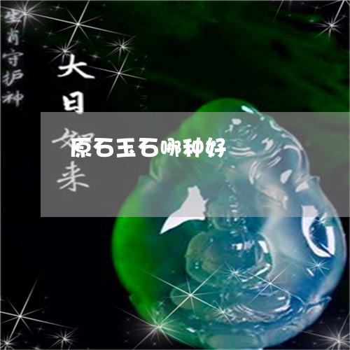 原石玉石哪种好/2023040438293 原石玉石哪种好/2023040438293