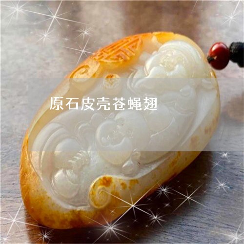 原石皮壳苍蝇翅/2023040401715 原石皮壳苍蝇翅/2023040401715