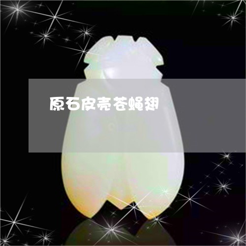 原石皮壳苍蝇翅/2023040453795 原石皮壳苍蝇翅/2023040453795