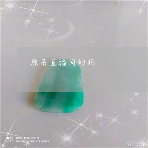 原石直播间的托/2023040463817 原石直播间的托/2023040463817