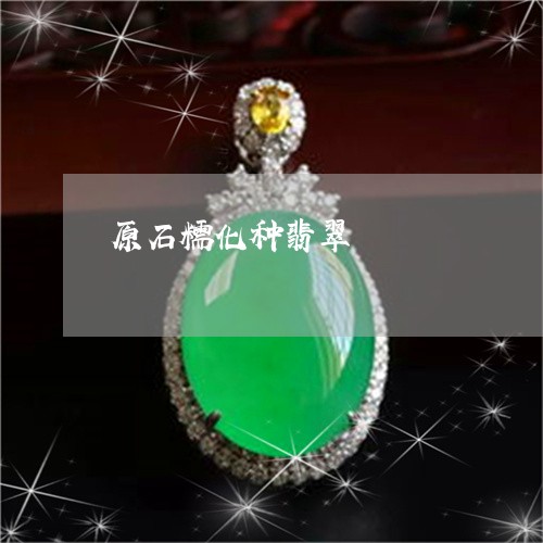 原石糯化种翡翠/2023040453683 原石糯化种翡翠/2023040453683