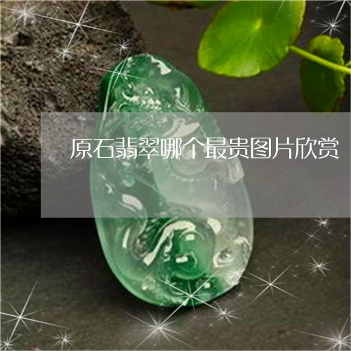 原石翡翠哪个最贵图片欣赏/2023061966260 原石翡翠哪个最贵图片欣赏/2023061966260