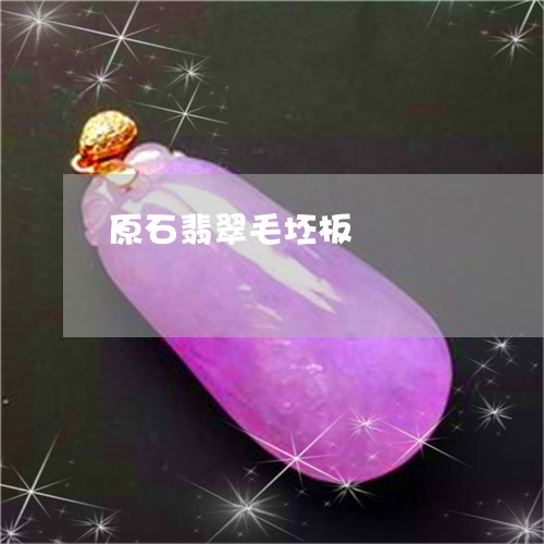 原石翡翠毛坯板/2023040455148 原石翡翠毛坯板/2023040455148