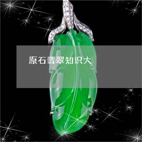 原石翡翠知识大/2023040441384