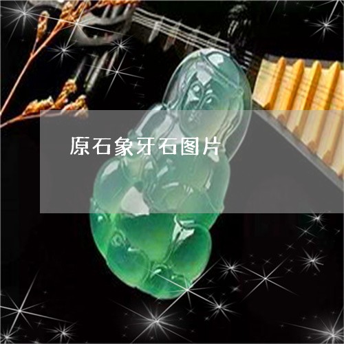原石象牙石图片/2023040492816 原石象牙石图片/2023040492816