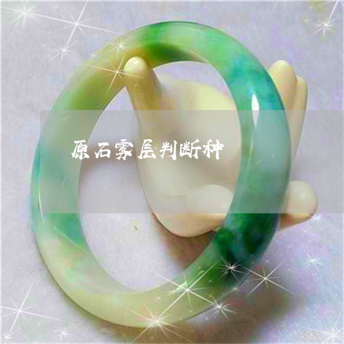 原石雾层判断种/2023040451583