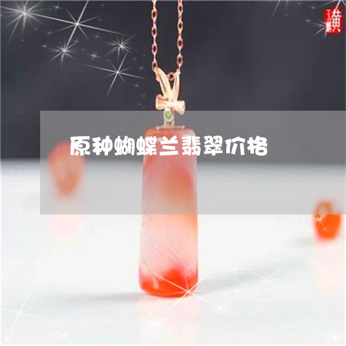 原种蝴蝶兰翡翠价格/2023042259371