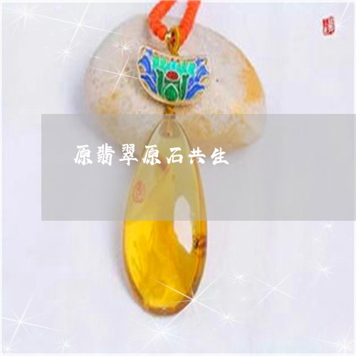 原翡翠原石共生/2023040419372