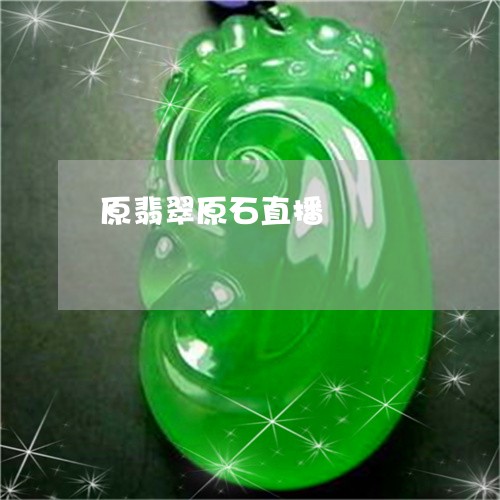 原翡翠原石直播/2023040407949