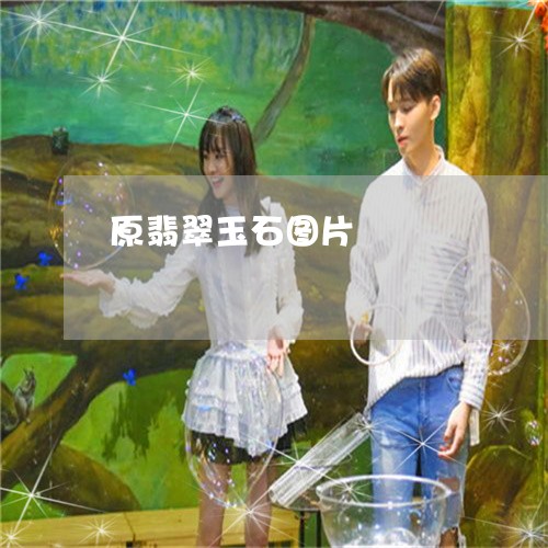 原翡翠玉石图片/2023040463724