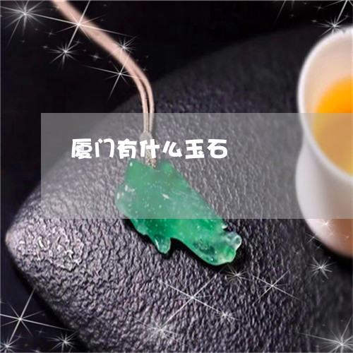 厦门有什么玉石/2023040429241 厦门有什么玉石/2023040429241