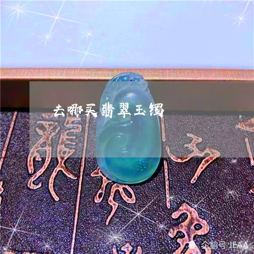 去哪买翡翠玉镯/2023040408159 去哪买翡翠玉镯/2023040408159