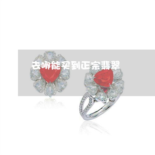 去哪能买到正宗翡翠/2023042326268